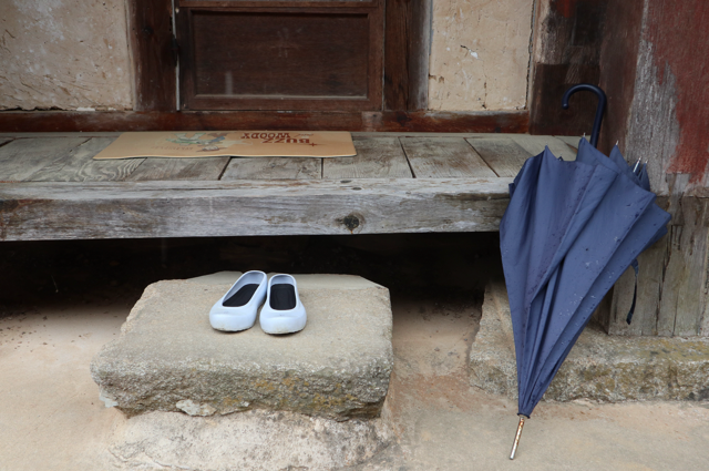 Zen.nl, Zen, meditatie, leren mediteren, foto